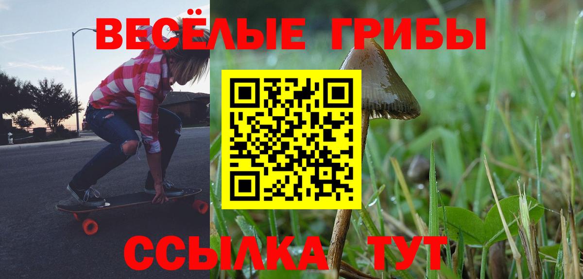 Псилоцибиновые грибы мухоморы  Вход с VPN  продажа наркотиков  Куйбышев 