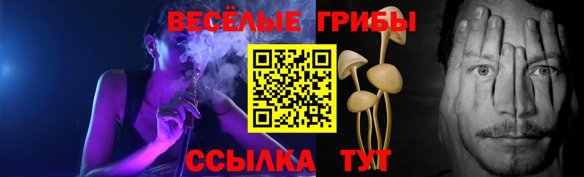 Галлюциногенные грибы Psilocybine cubensis Куйбышев
