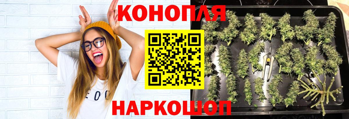 Конопля VHQ  Вход с VPN  Бошки марихуана Bruce Banner  Куйбышев  Бошки Шишки Bruce Banner  Конопля Bruce Banner 